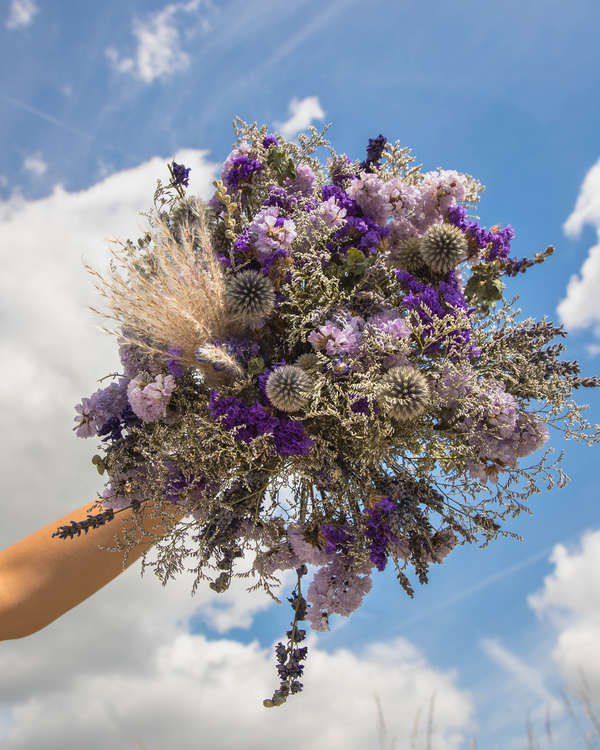 Fragancia de lavanda