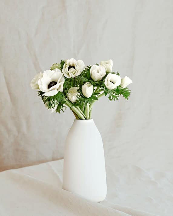 Anémones blanches botte de fleurs fraiches