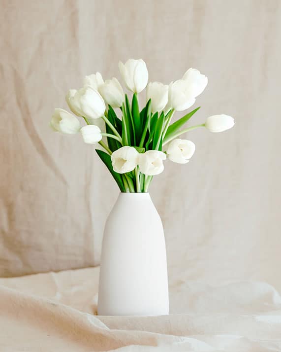 Fleurs naturelles tulipes blanches