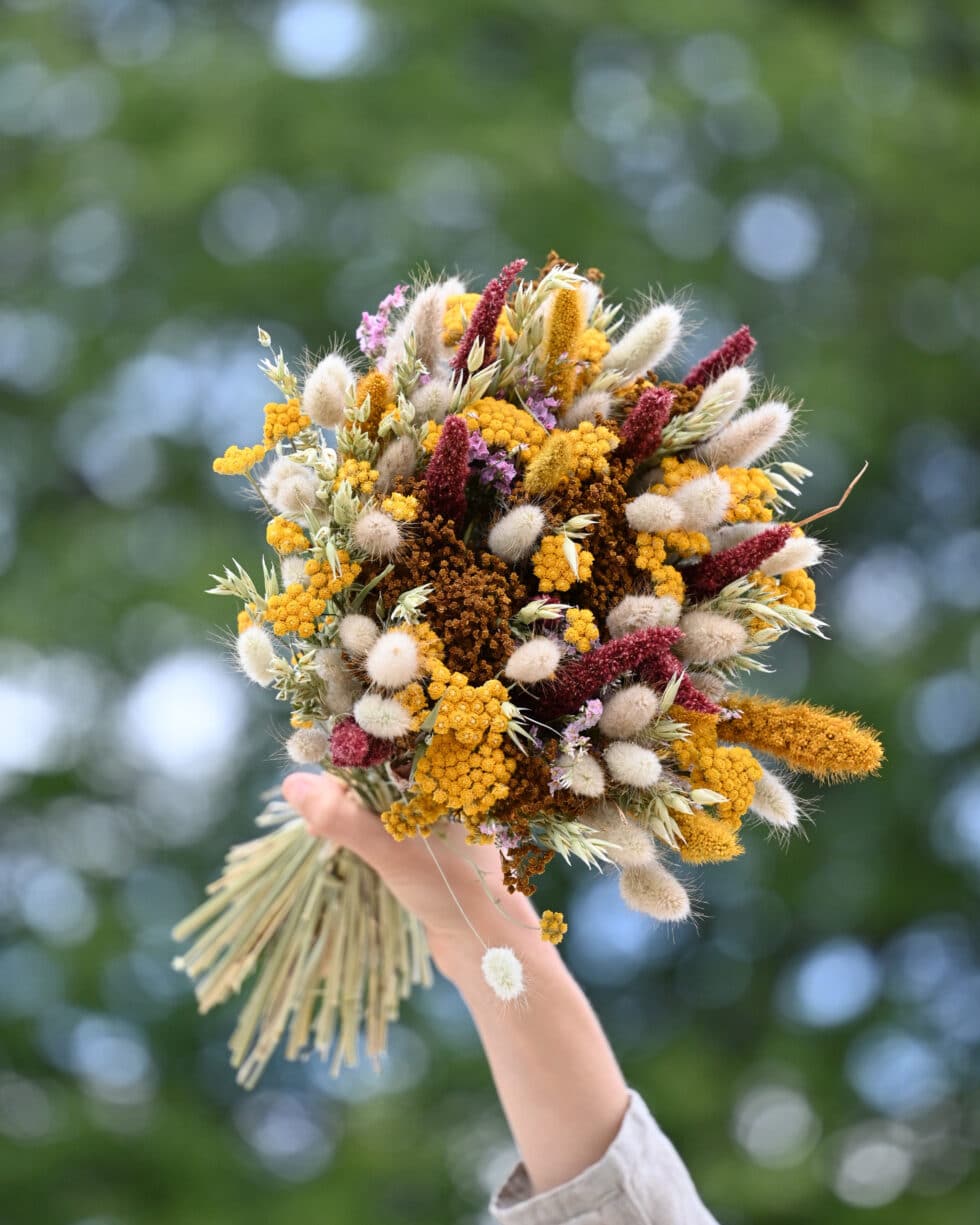 bouquet de fleurs séchées - cala ferriol