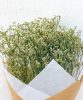 LIMONIUM BLANC OKK