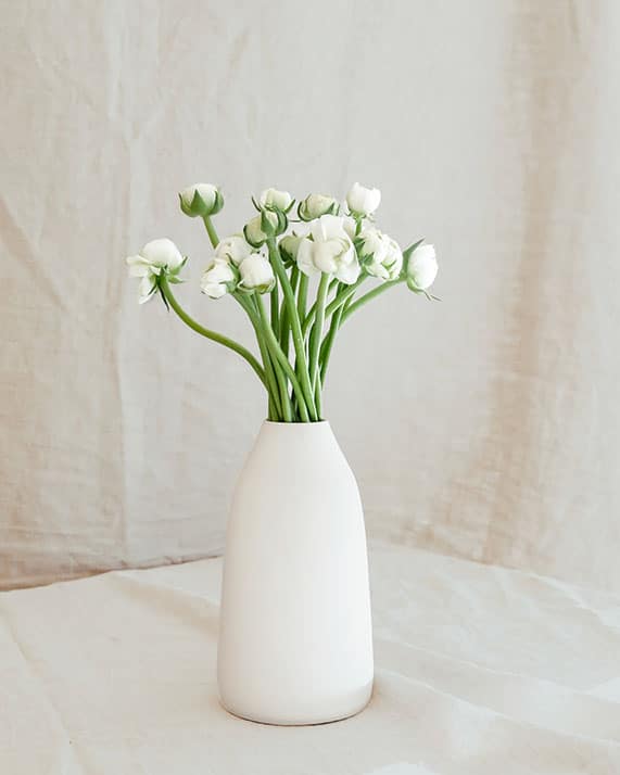 Fleurs naturelles renoncules blanches