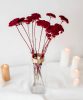 Rosa-Cadaques-fleurs-a-la-botte-achilles-rouge-noel Botte d'achillées rouges dans un vase transparent, posé sur une table avec une nappe blanche et des bougies allumées en fond