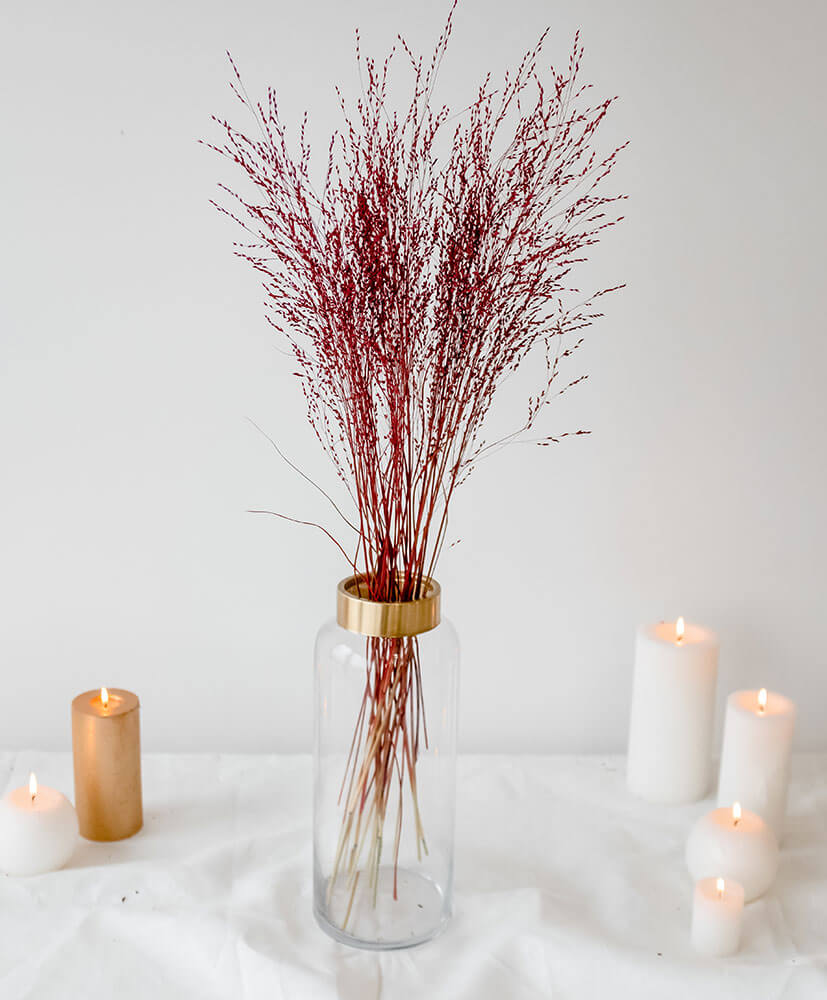 Rosa-Cadaques-fleurs-a-la-botte-collection-noel-panicum Botte de Panicum Rouge dans un vase sur une table blanche
