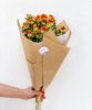 Carthamus orange- Carthamus orange-