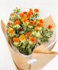 carthamus-orange-2