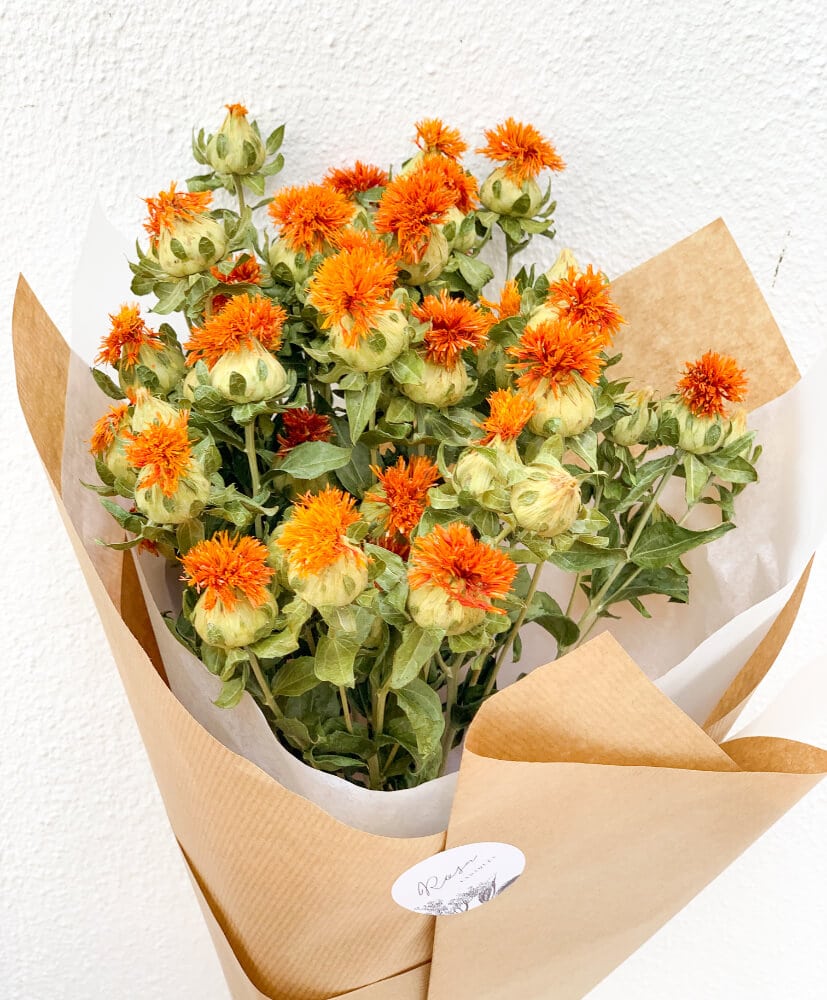 carthamus-orange-2