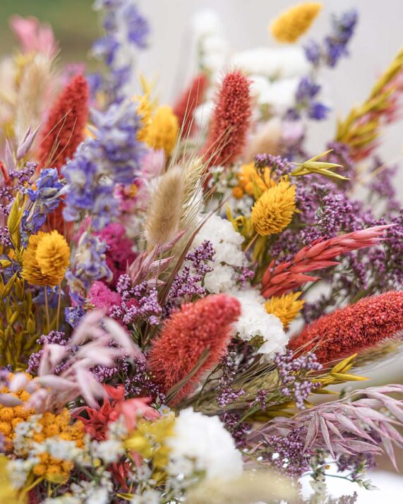Fleurs Sechees La Foir Fouillenull