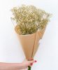 Gypsophile stabilisée blanc- Gypsophile stabilisée blanc-