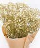 gypsophile-blanc-2
