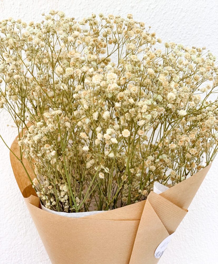gypsophile-blanc-2