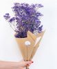 gypsophile-bleu-2