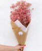 Gypsophile stabilisée rose- Gypsophile stabilisée rose-