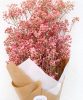 gypsophile-rose-2