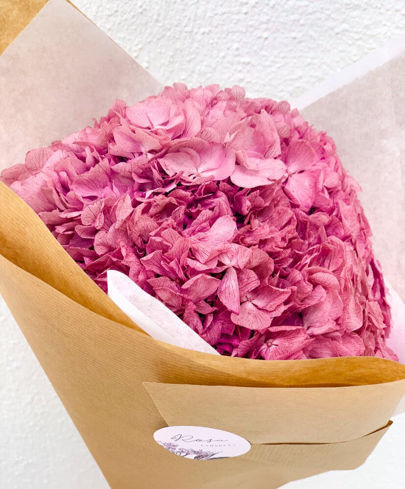 hortensia-rose-2