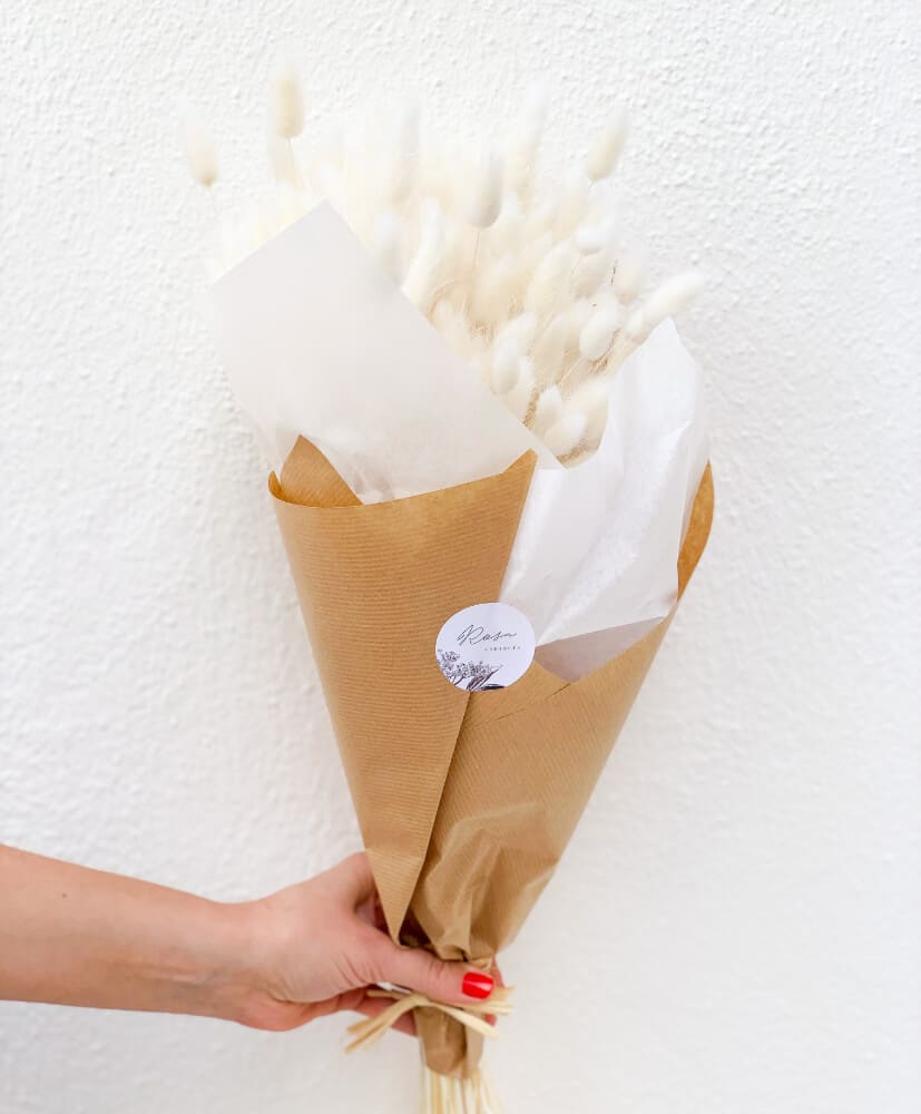 Lagurus Blanc- botte de fleurs séchées par Rosa Cadaques, Lagarus blanc