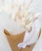 lagarus-blanc-2 botte de fleurs séchées par Rosa Cadaques, Lagarus blanc