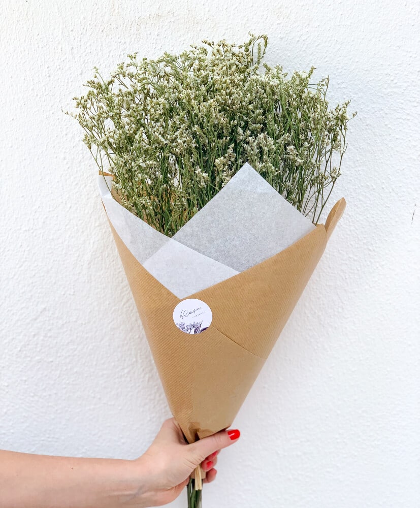 Limonium Blanc- Limonium Blanc-