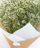limonium-blanc-2
