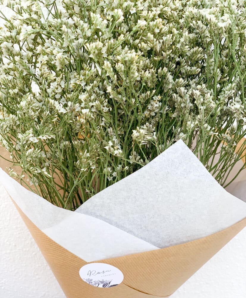 limonium-blanc-2