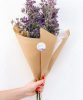 limonium-bleu-1