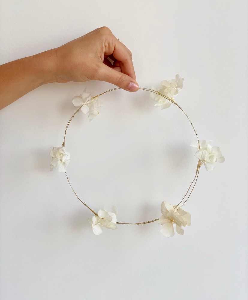 pack-alma-blanc