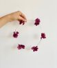pack-alma-pourpre