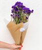 Statice bleu- Statice bleu-